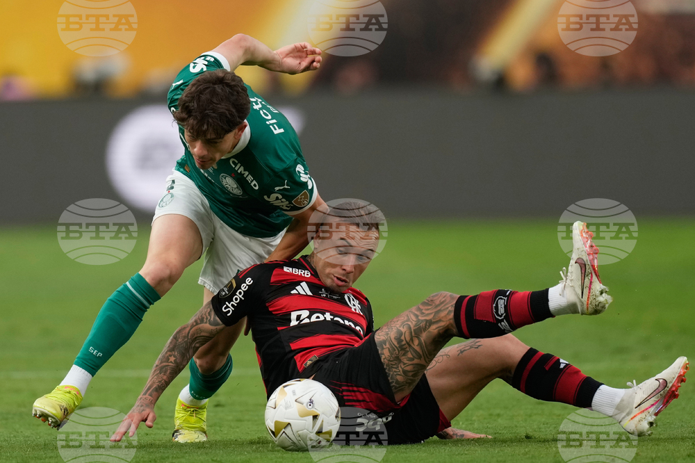 Peru Brazil Copa Libertadores Soccer