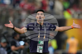 Peru Brazil Copa Libertadores Soccer