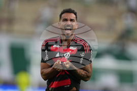 Peru Brazil Copa Libertadores Soccer