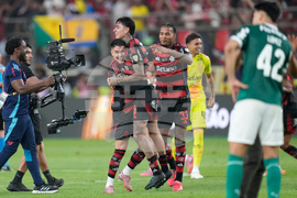 Peru Brazil Copa Libertadores Soccer