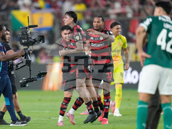 Peru Brazil Copa Libertadores Soccer