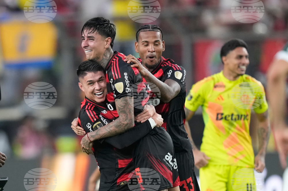 Peru Brazil Copa Libertadores Soccer