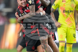 Peru Brazil Copa Libertadores Soccer