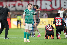 Peru Brazil Copa Libertadores Soccer