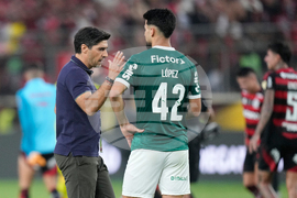 Peru Brazil Copa Libertadores Soccer