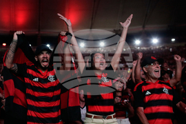 Brazil Copa Libertadores Soccer