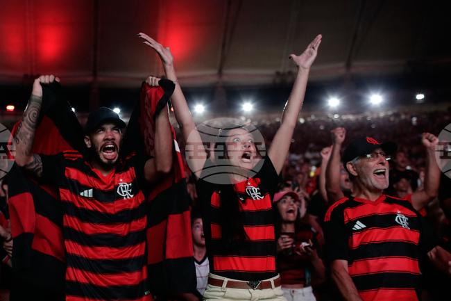 Фламенго стана шампион на Бразилия за осми път в историята си