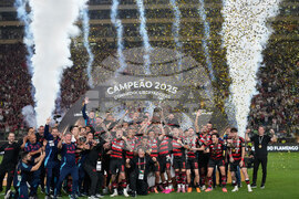 Peru Brazil Copa Libertadores Soccer