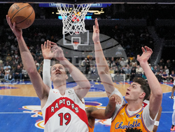 Raptors Hornets Basketball