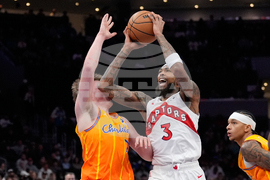 Raptors Hornets Basketball