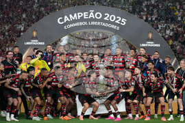 Peru Brazil Copa Libertadores Soccer