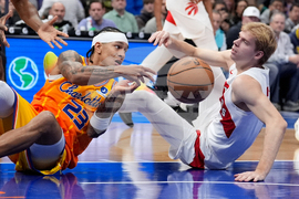 Raptors Hornets Basketball