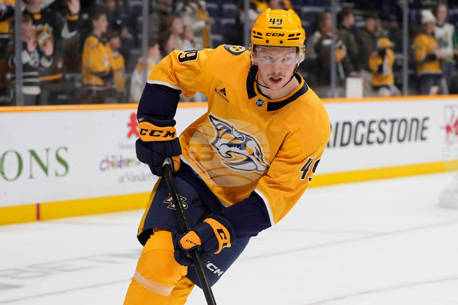 Jets Predators Hockey