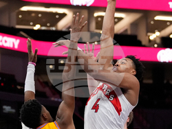 Raptors Hornets Basketball