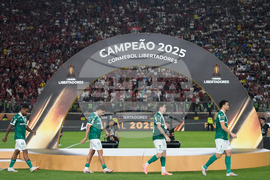 Peru Brazil Copa Libertadores Soccer