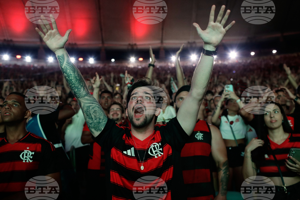 Brazil Copa Libertadores Soccer