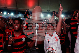 Brazil Copa Libertadores Soccer