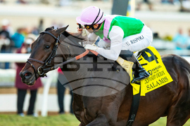 Del Mar Horse Racing