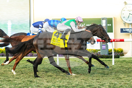 Del Mar Horse Racing