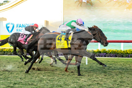 Del Mar Horse Racing