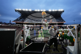 Oregon Washington Football