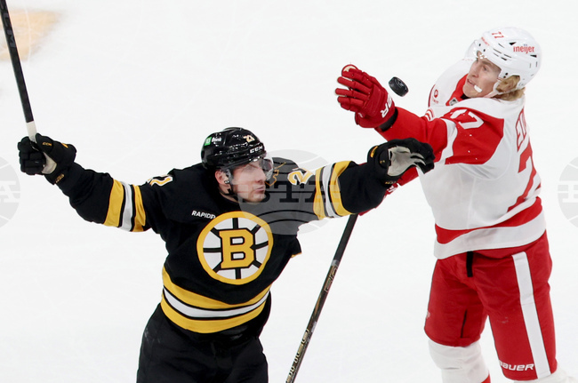 Red Wings Bruins Hockey
