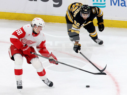 Red Wings Bruins Hockey