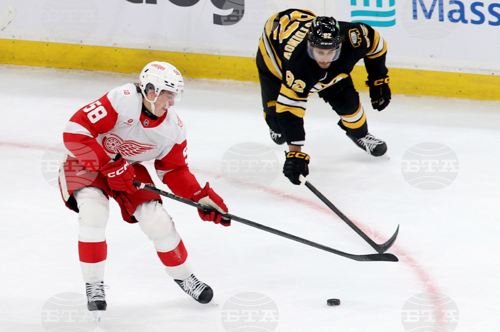 Red Wings Bruins Hockey