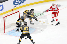 Red Wings Bruins Hockey