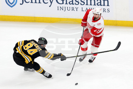 Red Wings Bruins Hockey
