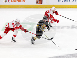 Red Wings Bruins Hockey