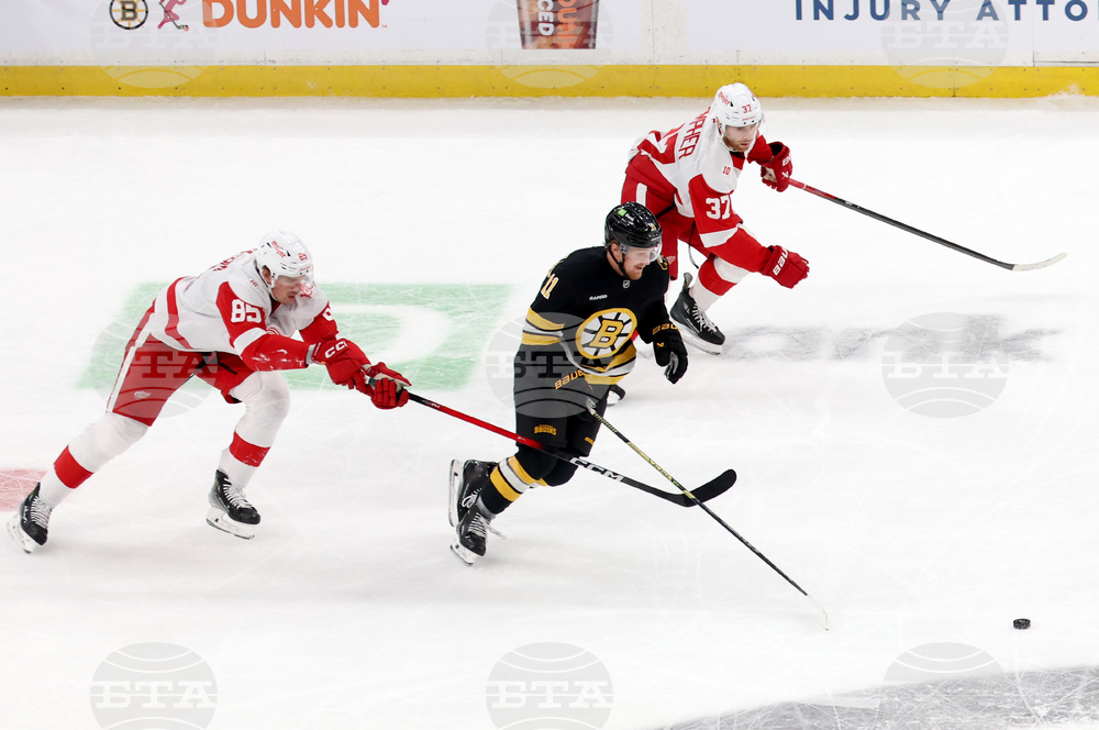 Red Wings Bruins Hockey