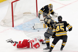 Red Wings Bruins Hockey