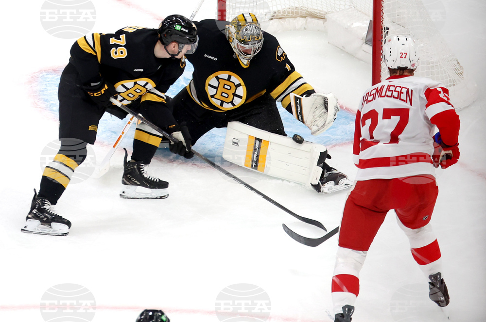 Red Wings Bruins Hockey