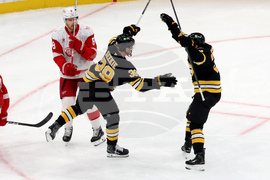 Red Wings Bruins Hockey