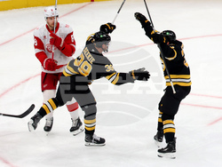 Red Wings Bruins Hockey