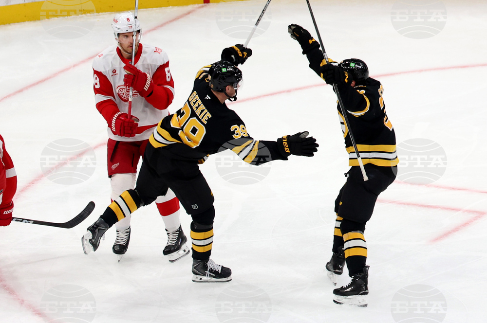 Red Wings Bruins Hockey