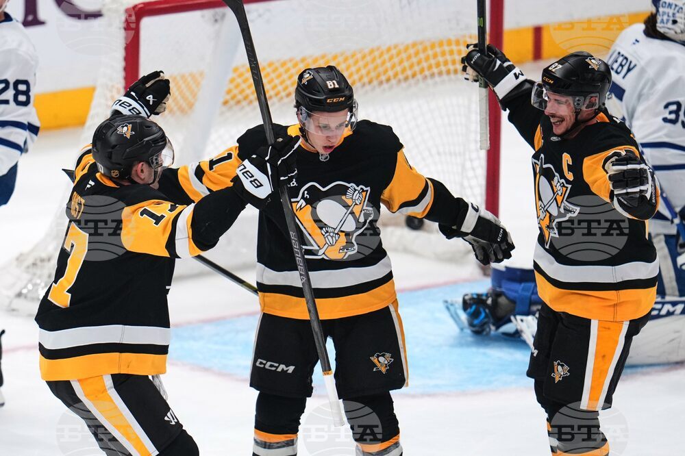 Maple Leafs Penguins Hockey