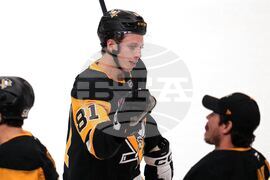 Maple Leafs Penguins Hockey