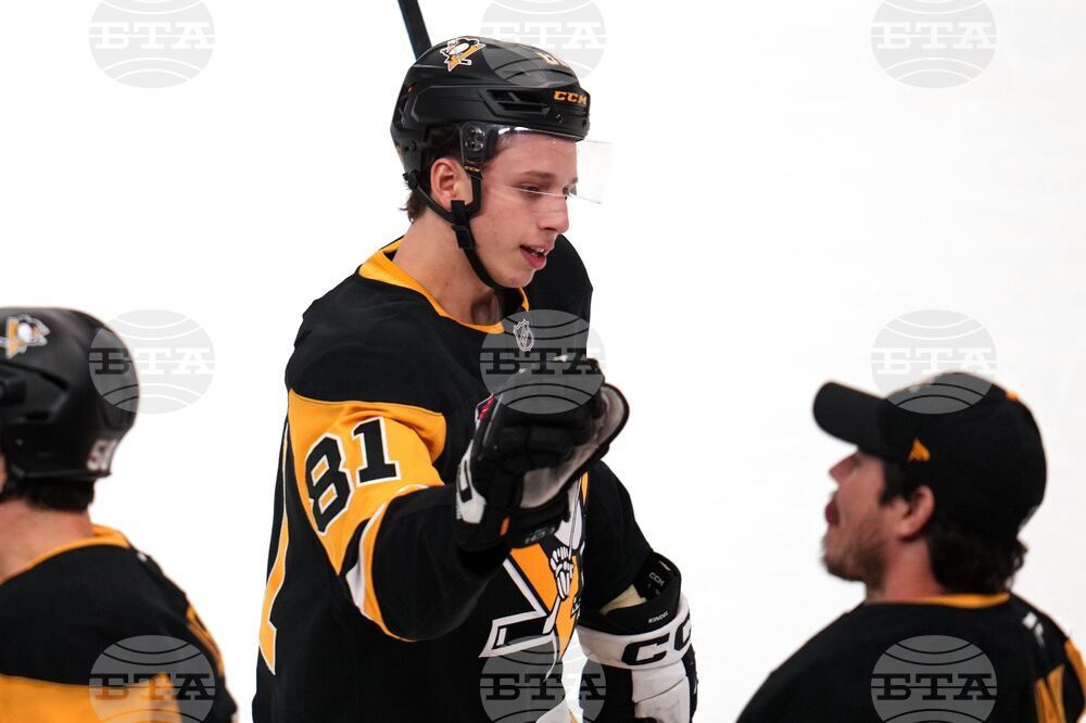 Maple Leafs Penguins Hockey