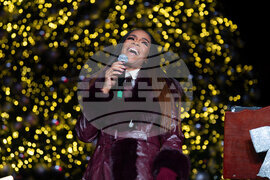 DC Holiday Tree Lighting