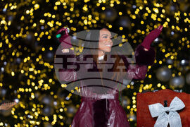 DC Holiday Tree Lighting