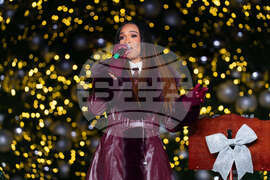 DC Holiday Tree Lighting