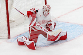 Red Wings Bruins Hockey