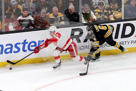 Red Wings Bruins Hockey