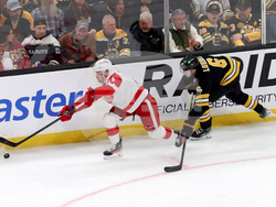 Red Wings Bruins Hockey