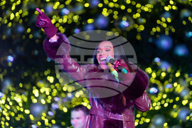 DC Holiday Tree Lighting