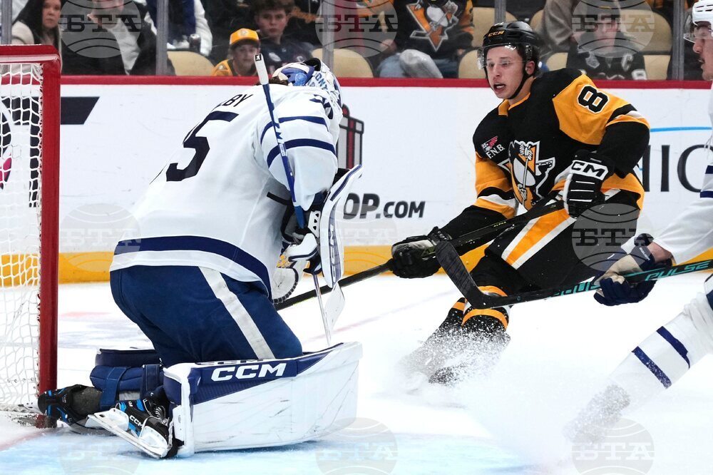 Maple Leafs Penguins Hockey