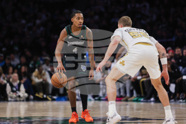 Timberwolves Celtics Basketball