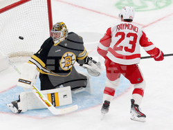Red Wings Bruins Hockey
